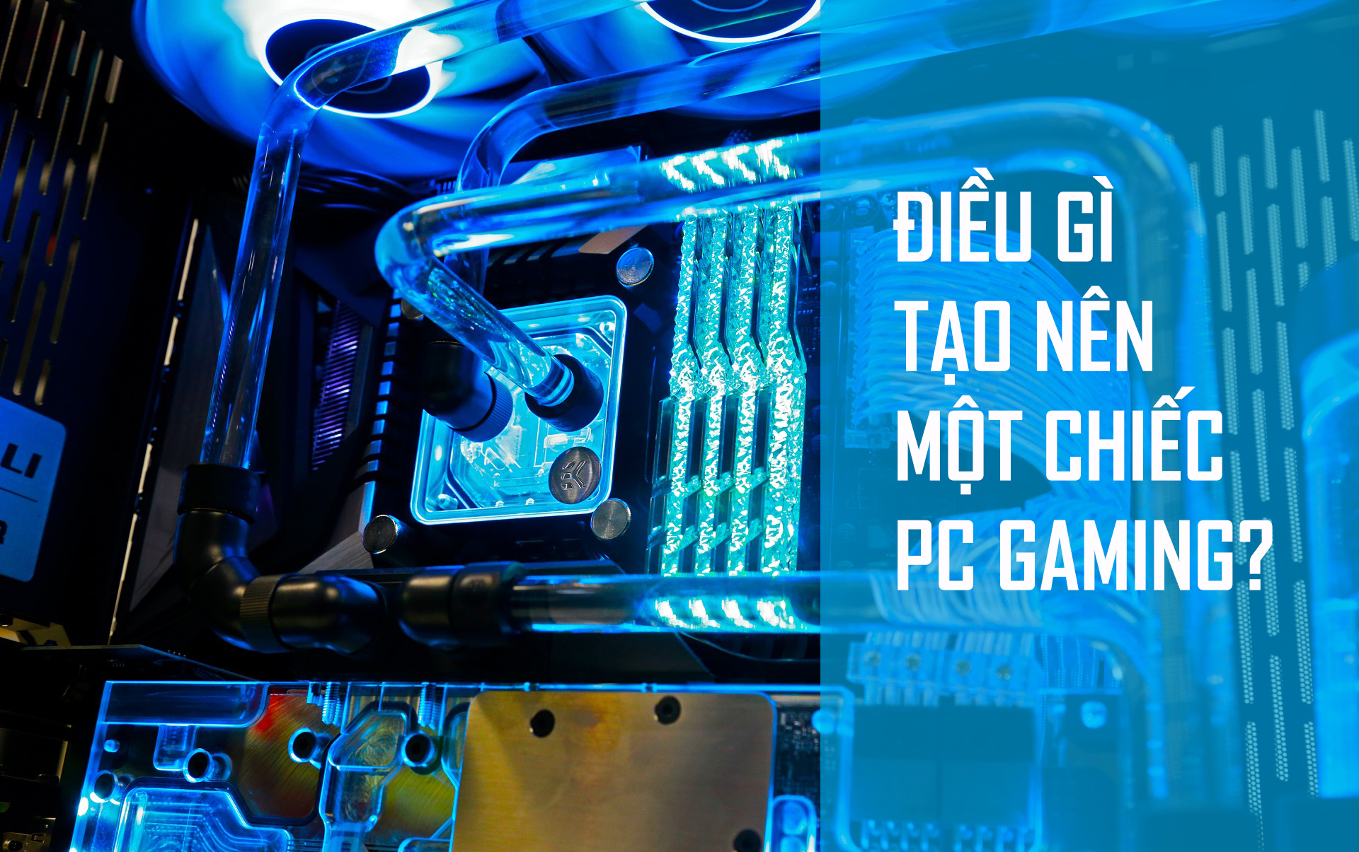 HNC PC Gaming